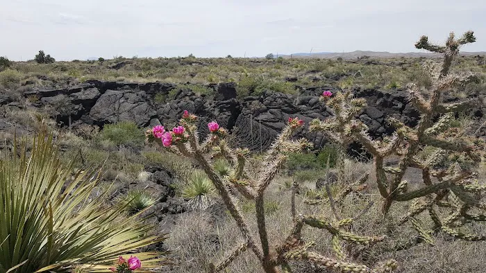 Casa del Sol Resort West Picture 6