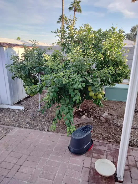 Sun Gardens Picture 3