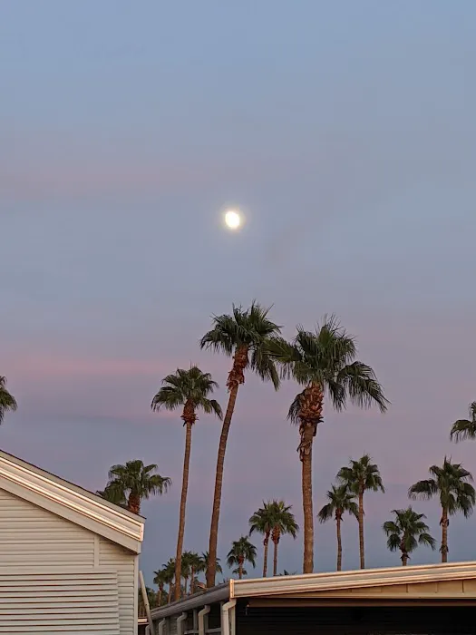 Good Life RV Park & Resort Picture 9