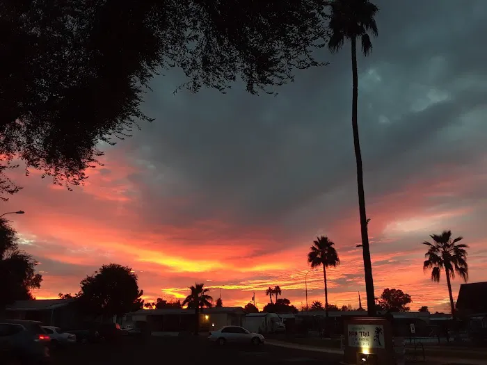 Kon Tiki Mobile Home Village Picture 7