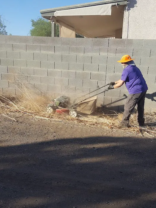 Evergreen Villa Picture 1