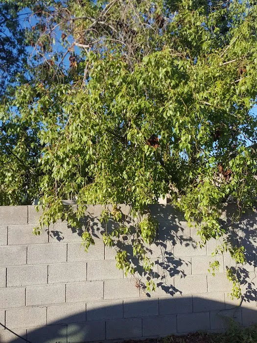 Evergreen Villa Picture 6