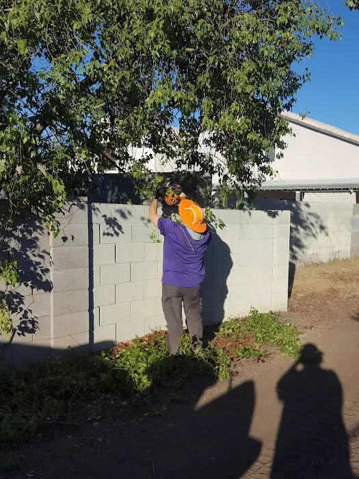 Evergreen Villa Picture 5