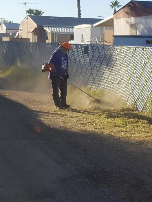 Evergreen Villa Picture 8