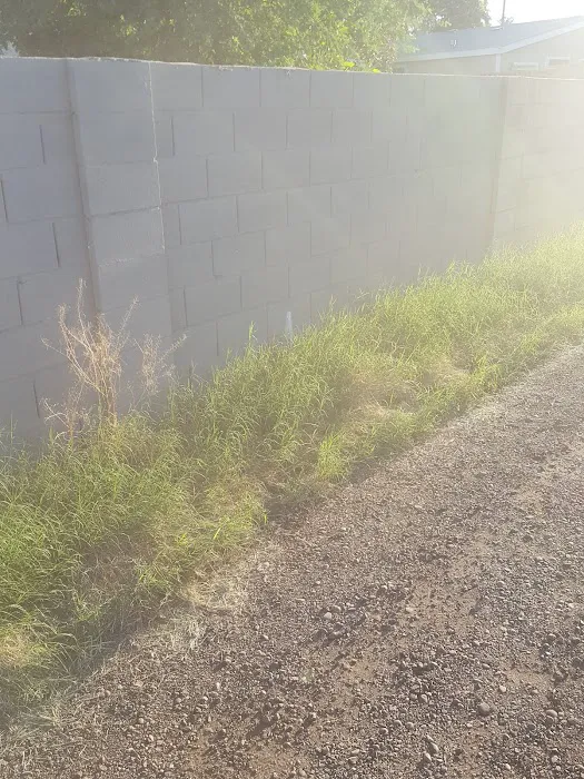 Evergreen Villa Picture 10