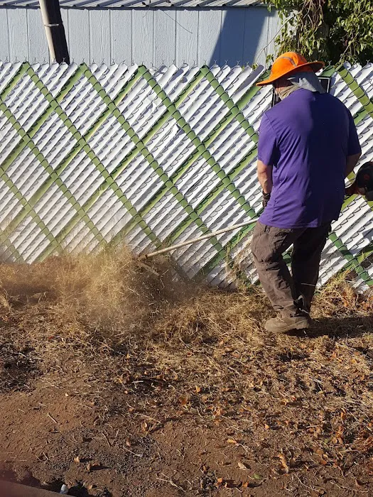 Evergreen Villa Picture 9