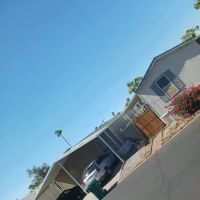 Chandler Meadows ico