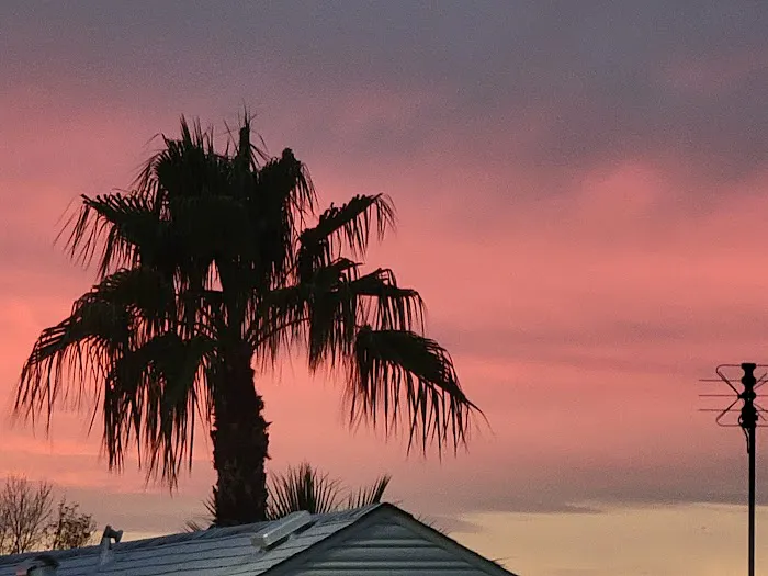 Mesa Regal RV Park & Resort Picture 1