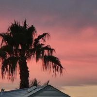 Mesa Regal RV Park & Resort ico