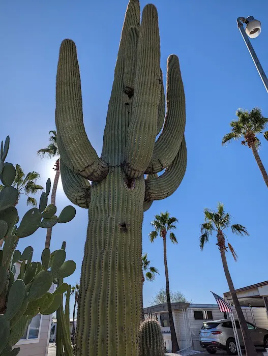 Sun Life RV Park & Resort Picture 8