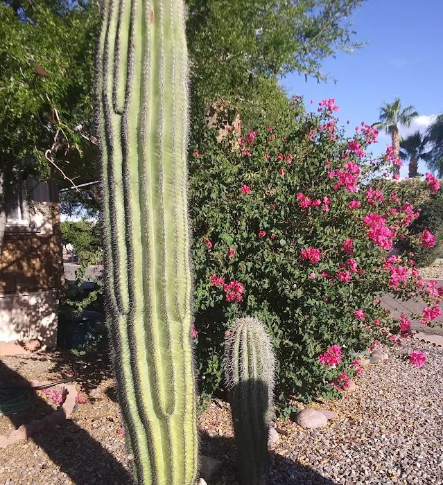 Hacienda de Valencia Picture 2
