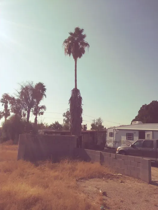 Litchfield Village Manufactured Housing Community Picture 9