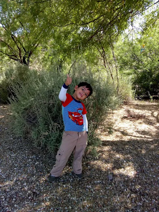 Litchfield Village Manufactured Housing Community Picture 10