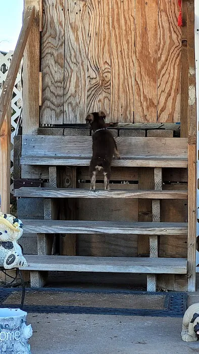 Country hills mobile home park Picture 2