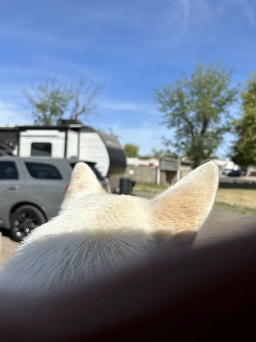 Country hills mobile home park Picture 4