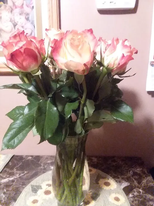 Estrella Mobile Home Park Picture 1