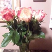 Estrella Mobile Home Park ico