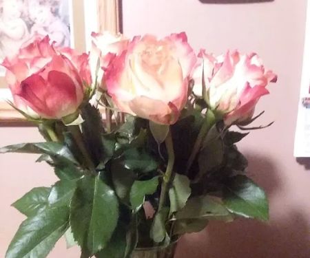 Estrella Mobile Home Park