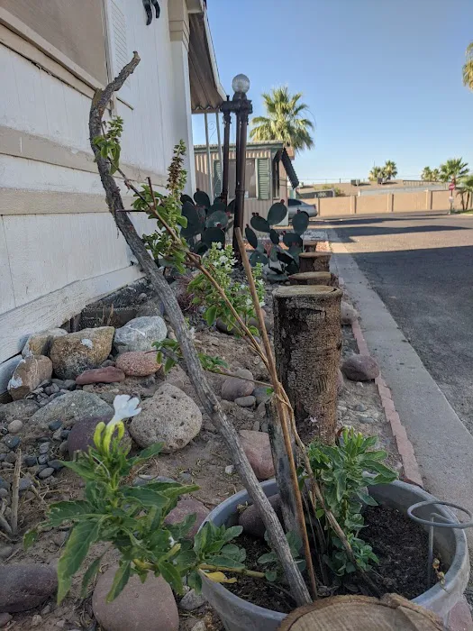 Country Villa Picture 6