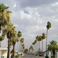 Twin Knolls Mobile Home Villa ico