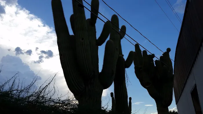 Twin Knolls Mobile Home Villa Picture 2