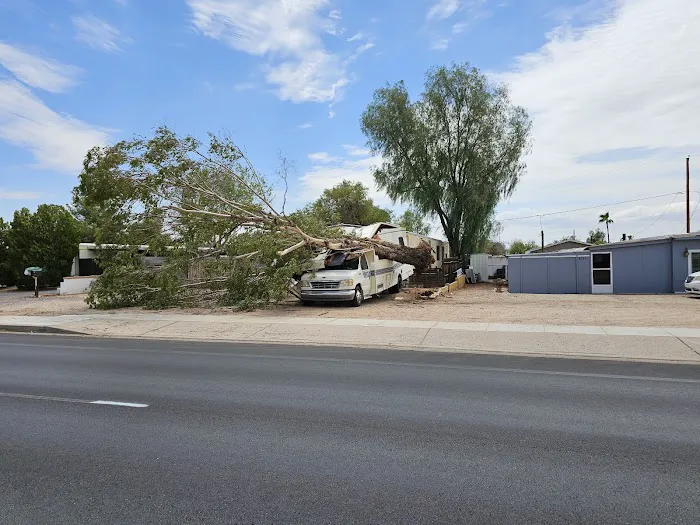 Villa Juanita Picture 8