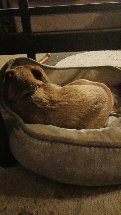 Casa Serena Mobile Home Park - A 55+ Community lot Picture 10