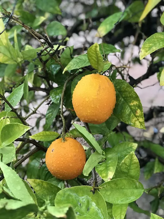 ViewPoint RV & Golf Resort Picture 10