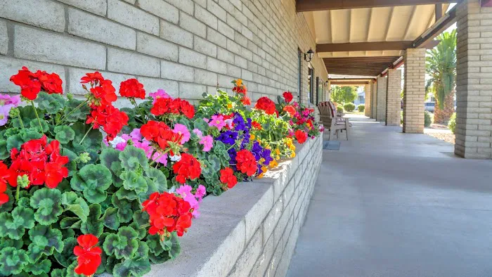 Mountain View Picture 8