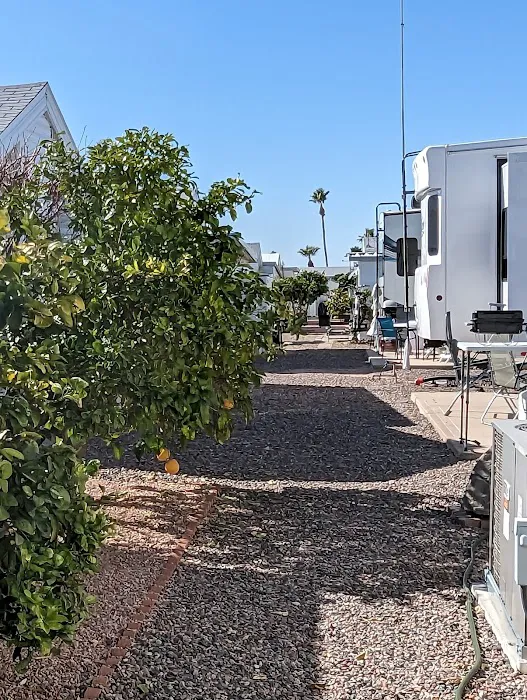 Silveridge RV Resort (55+) Picture 7