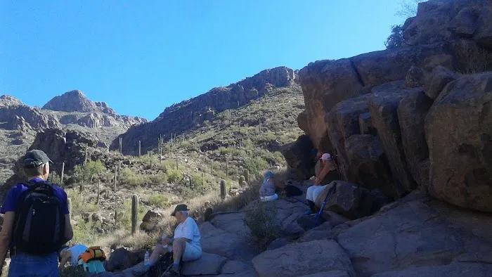 Silveridge RV Resort (55+) Picture 10