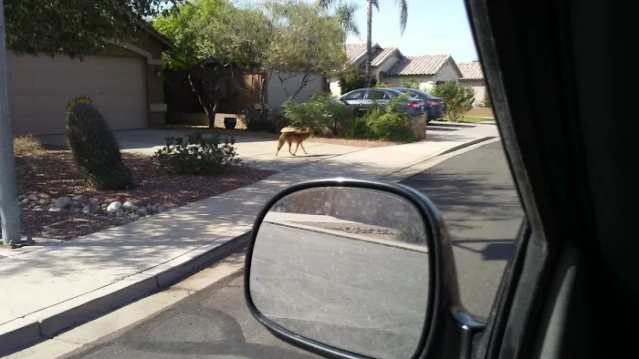 Pueblo Mesa Picture 10