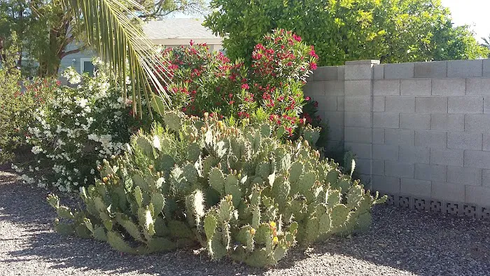 Brentwood Southern Mobile Home Picture 5