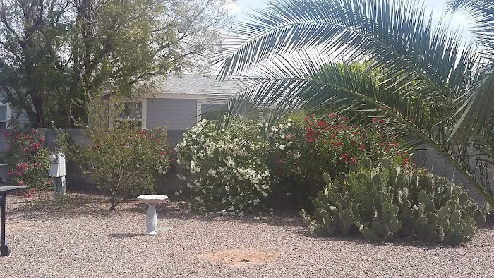 Brentwood Southern Mobile Home Picture 6