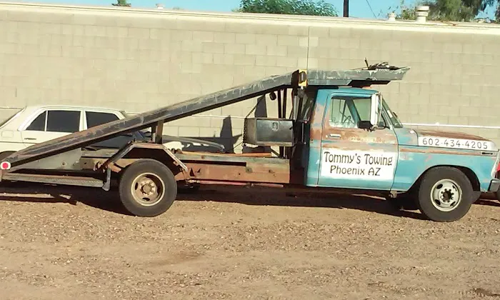 Hummingbird1 MHC Picture 1