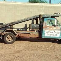 Hummingbird1 MHC ico