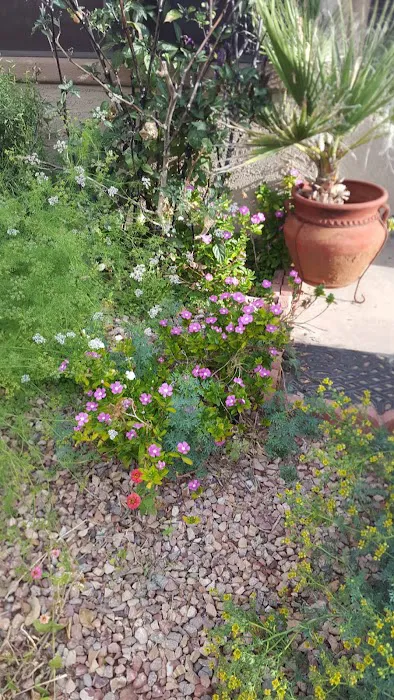 Hummingbird1 MHC Picture 4