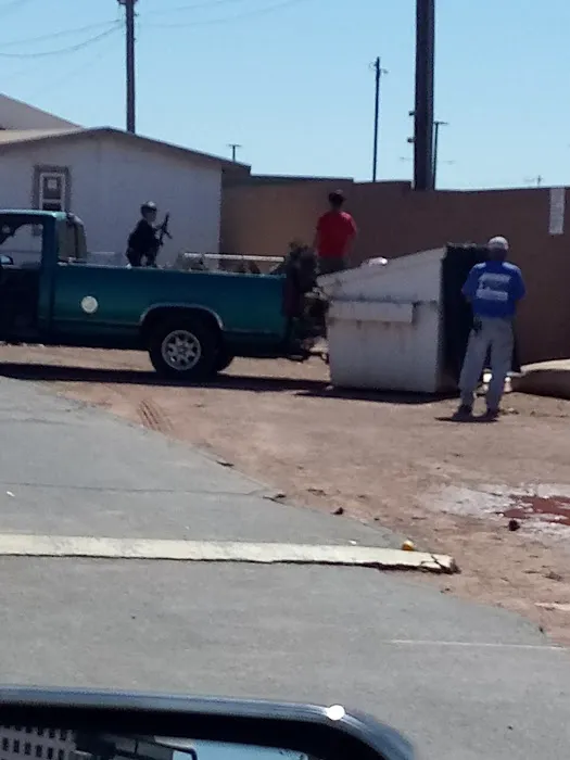 Hummingbird1 MHC Picture 5