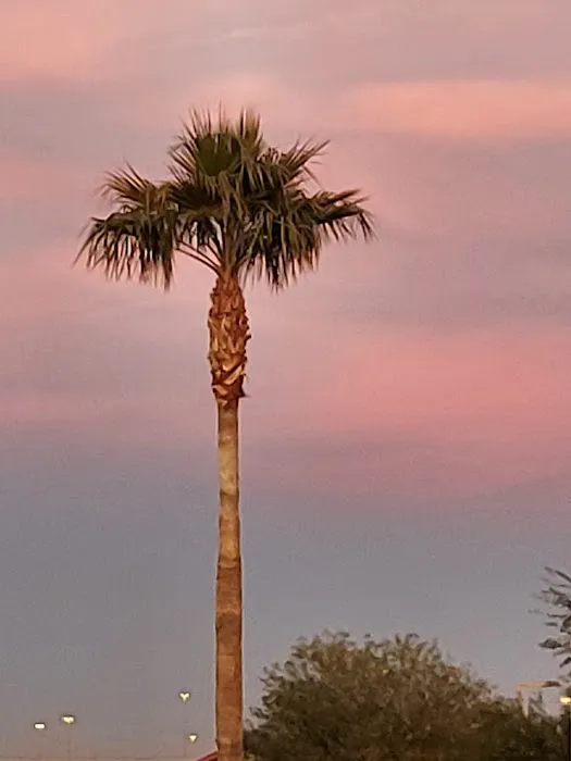 Cotton Lane RV Park Picture 5