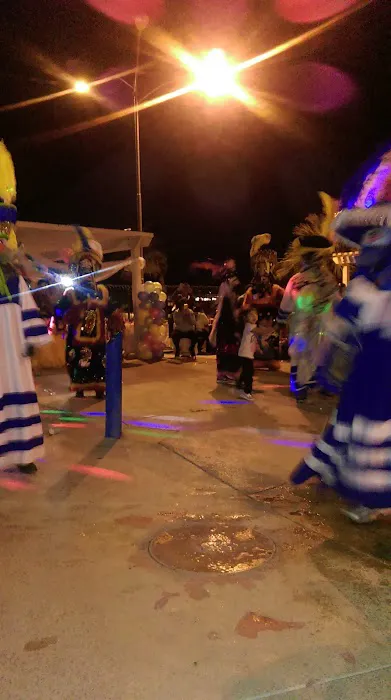 Byrd's Trailer Park Picture 3