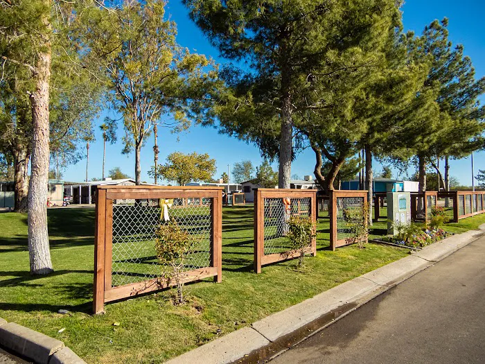 Palm Vista - A Cobblestone Community Picture 1