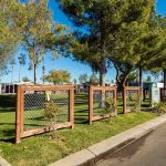 Palm Vista - A Cobblestone Community