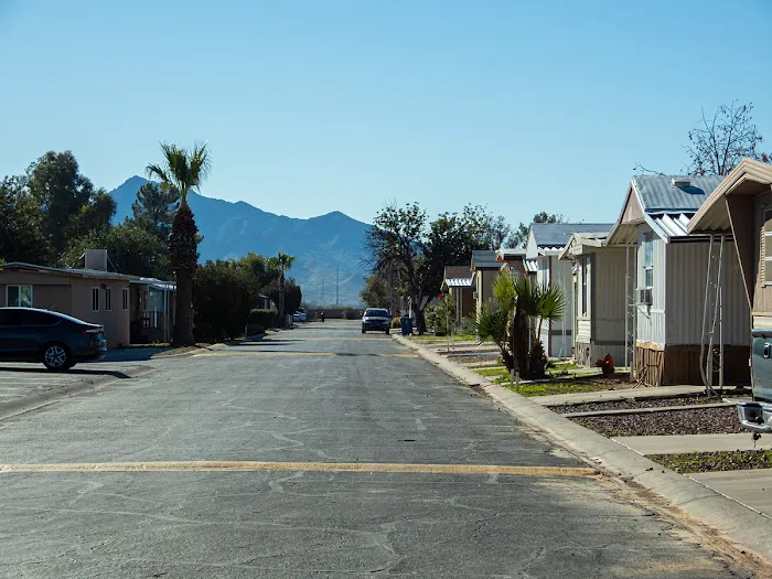 Palm Vista - A Cobblestone Community Picture 10