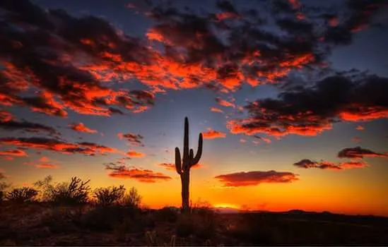 Destiny RV Resort Picture 8