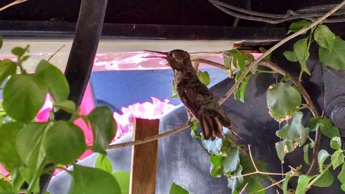 Destiny RV Resort Picture 9