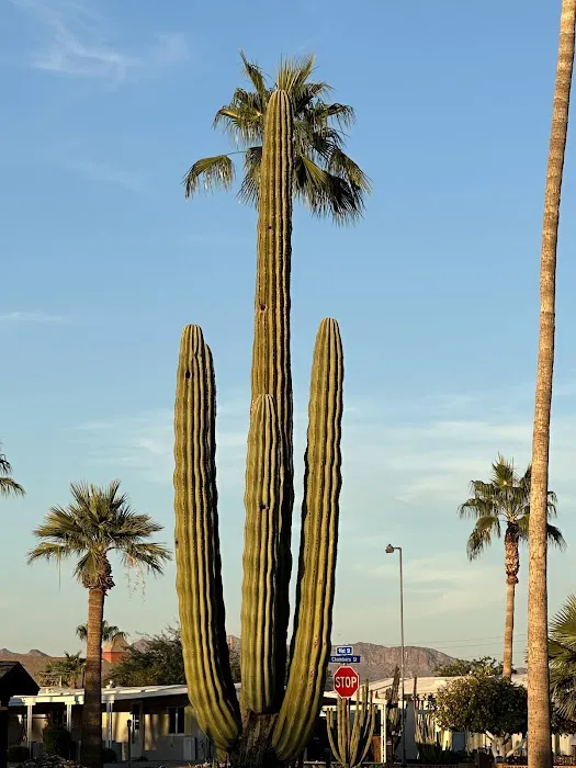 DESERT DAWN ESTATES Picture 8
