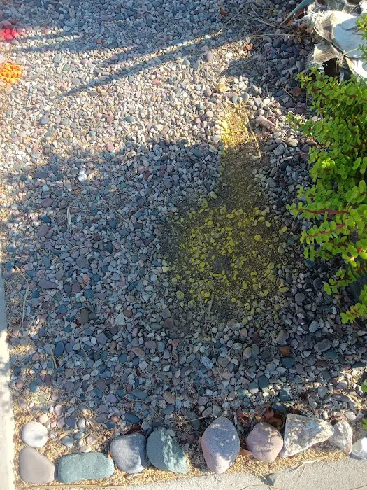 Sunny Crest Mobile Home Park Picture 7