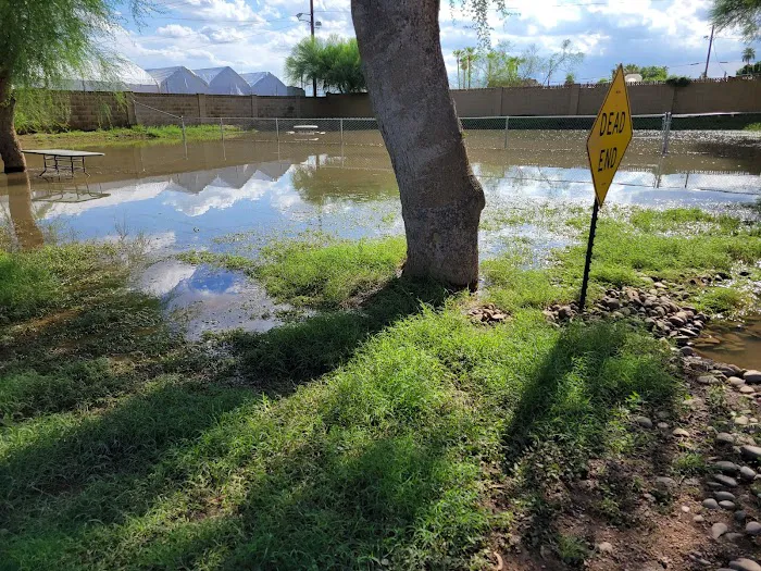 Sunny Crest Mobile Home Park Picture 8