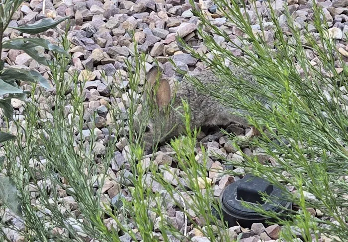 Sunny Crest Mobile Home Park Picture 10