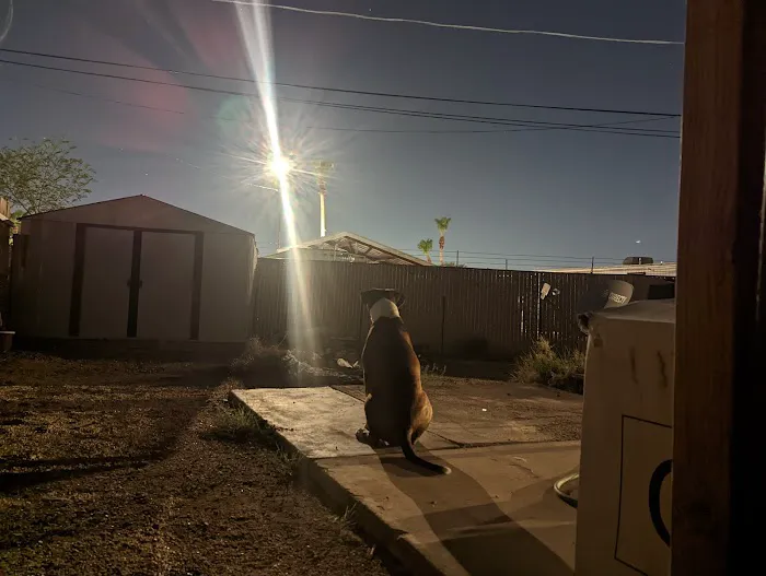 Copa Mobile Home Park Picture 3